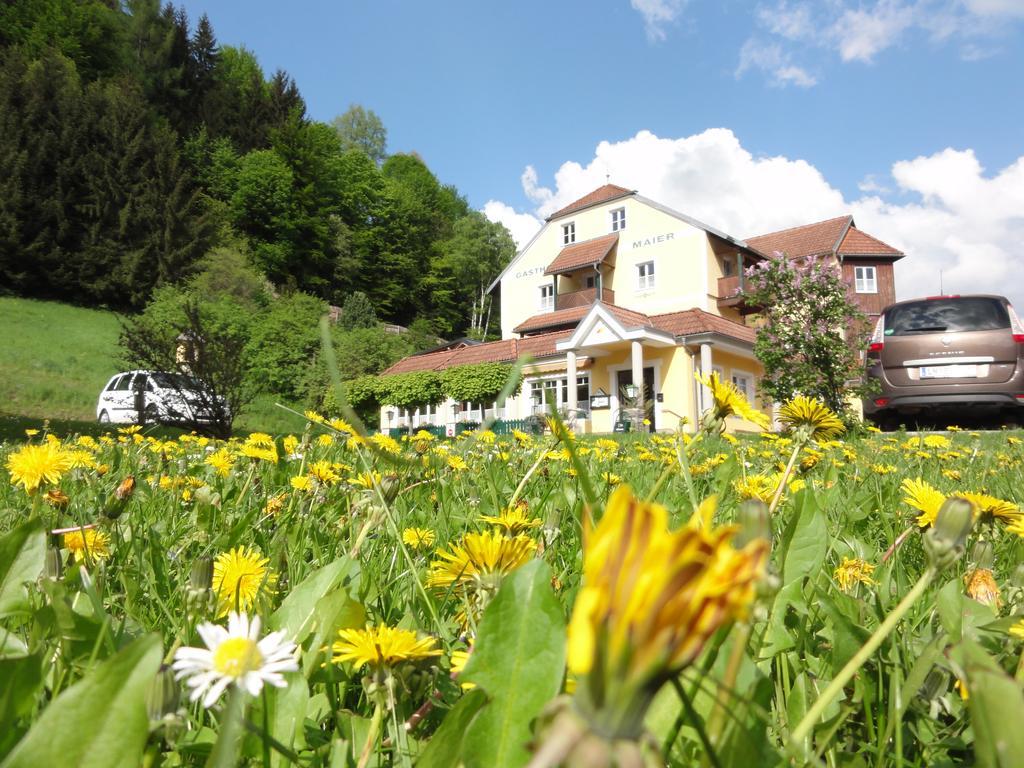 Hotel Familiengasthof Maier Mautern In Steiermark Exterior foto